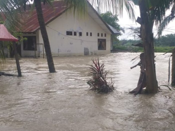 Ribuan Warga Aceh Tamiang Masih Mengungsi, BPBA Sebut Tinggi Air Banjir Hingga Dua Meter