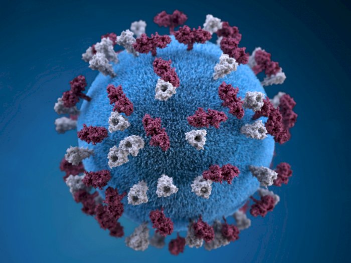 Mengenal Virus Nipah (NiV), Virus Baru yang Lebih Ganas dari COVID-19