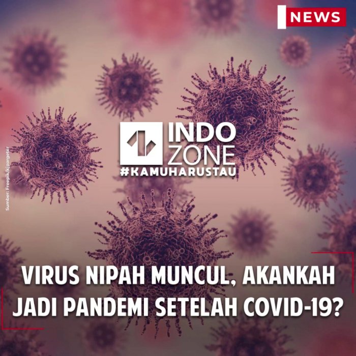 Virus Nipah Muncul, Akankah Jadi Pandemi Setelah Covid-19?