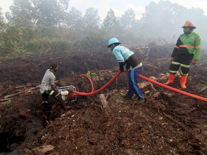 500 Hektare Hutan di Sumsel Terbakar, PT RAJ Harus Ganti Rugi Rp137,6 Miliar