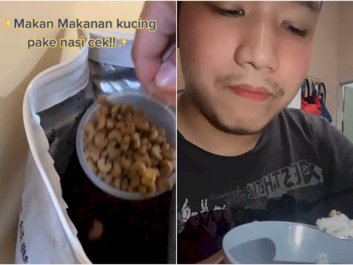 Penasaran dengan Rasanya, Pria Ini Makan Makanan Kucing Pakai Nasi