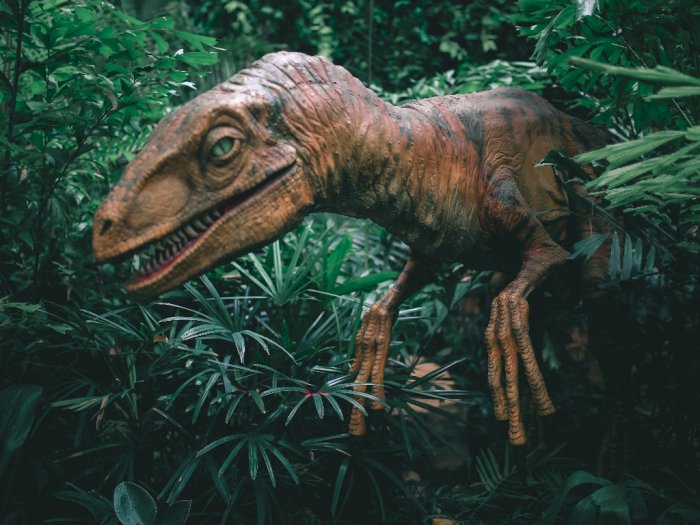 Bocah 4 Tahun Temukan Jejak Dinosaurus saat Berjalan di Pantai