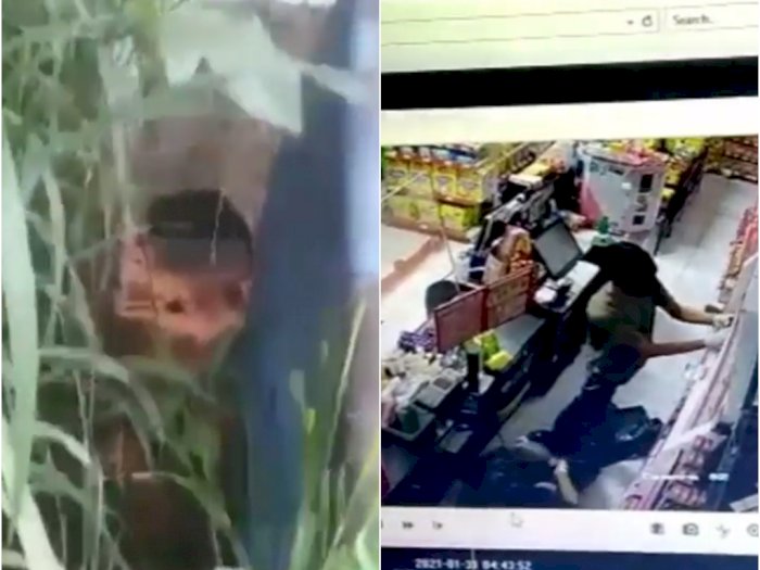 Komplotan Maling Nekat Bobol Dinding Minimarket di Sukabumi, Gasak Habis Rokok dan Coklat