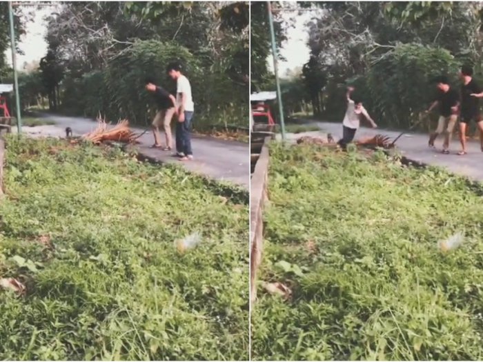 Iseng Gangguin Monyet, Remaja Ini Terjungkal, Netizen: Kualat!