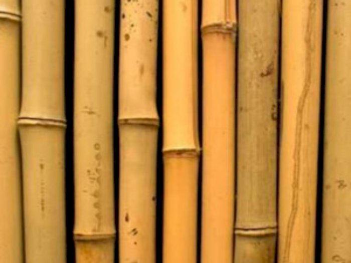 Waduh, Bambu 60 cm Tertancap di Anus Perempuan yang Tewas di Pinggir Sungai Cimalaka 