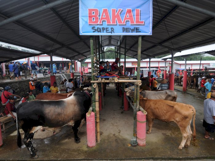 FOTO: Pembukaan Pasar Hewan Jelok di Boyolali