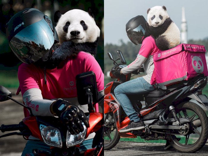 Driver Ojol Ini Bawa 'Panda' Bersamanya di Hari Terakhir Kerja, Warganet Terkesan
