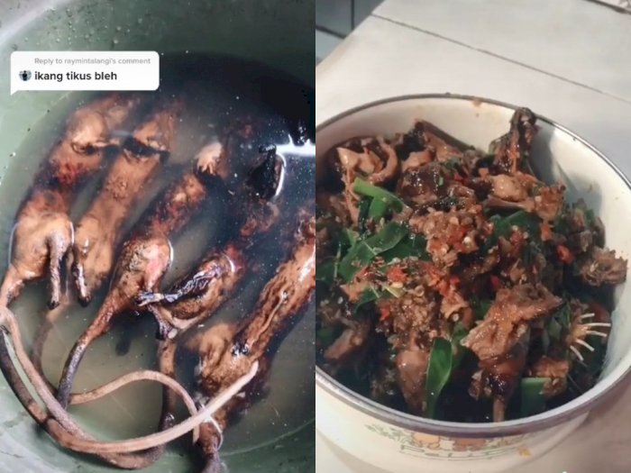 Viral Wanita Buat Tutorial Masak Daging Tikus, Netizen: Gue Ikhlas Makan Nasi Sama Garam