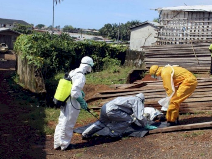 Muncul Kasus Virus Ganas Ebola, Sierra Leone Aktifkan Sistem Tanggap Darurat Kesehatan 