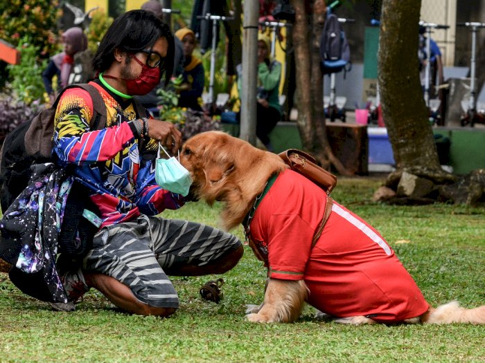 FOTO: Melatih Anjing Taat Prokes COVID-19