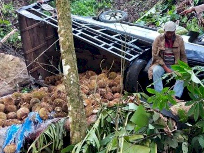 Hilang Kendali, Mobil Pengangkut Durian dari Takengon Terjun Bebas ke Jurang, Korban Nihil