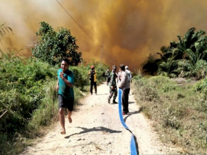 Lahan Gambut Milik Warga Seluas 10 Hektare di Madina Terbakar