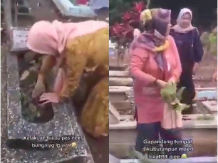 Viral Ibu-Ibu Curi Bunga Keladi yang Lagi Hits di Kuburan, Tak Takut Didatangi Arwah