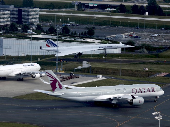 Lestarikan Hewan, Qatar Airways Cargo Gratiskan Penerbangan Satwa Liar ke Habitatnya 