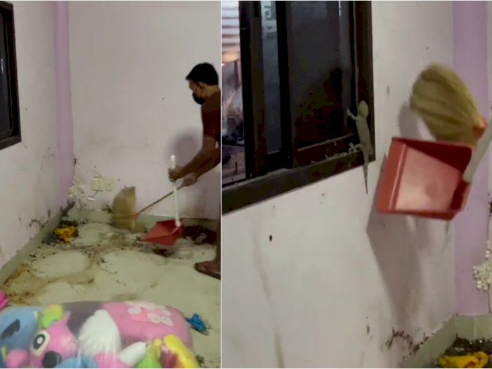 Bersihkan Ruangan Lama, Pria Ini Temukan Sarang Tokek, Netizen: Auto Kaya Raya