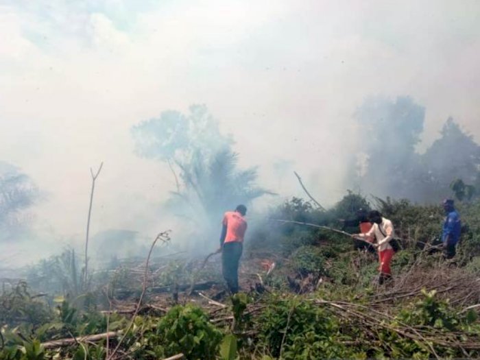 2 Hektare Lahan Gambut di Nagan Raya Terbakar, Diduga Akibat Cuaca Panas