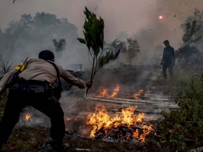 Ada 10 Titik Kebakaran di Empat Kabupaten di Riau, Polisi Klaim Sukses Padamkan Api