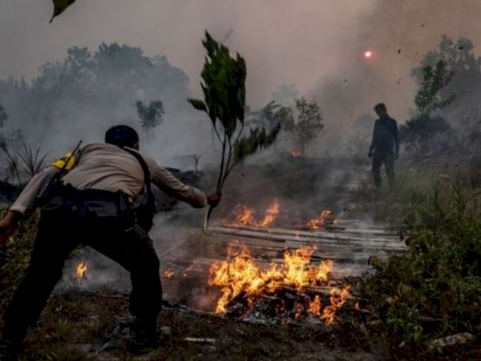 Lahan Kelapa Sawit Milik Purnawirawan TNI Terbakar, Belum Pasti Penyebab Kebakaran