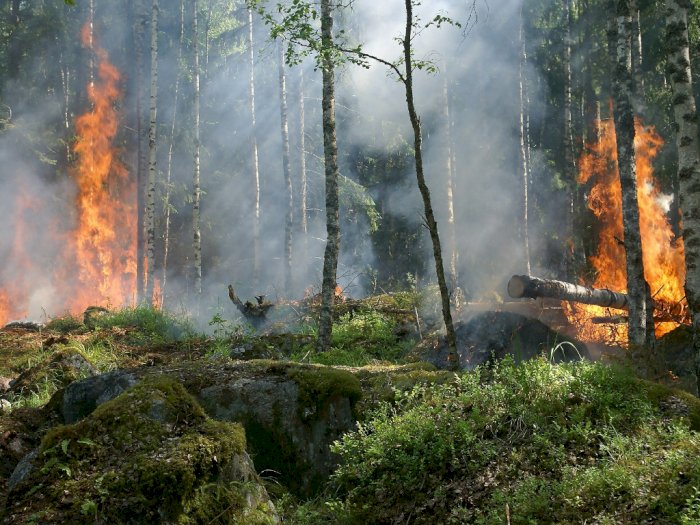 BMKG Deteksi 26 Titik Api Indikasi Kebakaran Hutan dan Lahan di Sumatera Utara