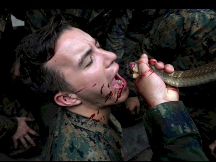 Mengerikan! Para Tentara AS Dipaksa Makan Tokek Hidup dan Minum Darah Ular