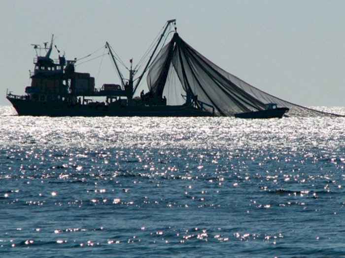 Terbukti Tangkap Ikan Pakai Pukat Trawl, Nelayan di Medan Divonis 1 Tahun 10 Bulan Penjara