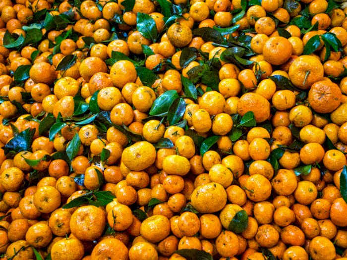 11 Cara Membedakan Jeruk Mandarin dan Jeruk Ponkam