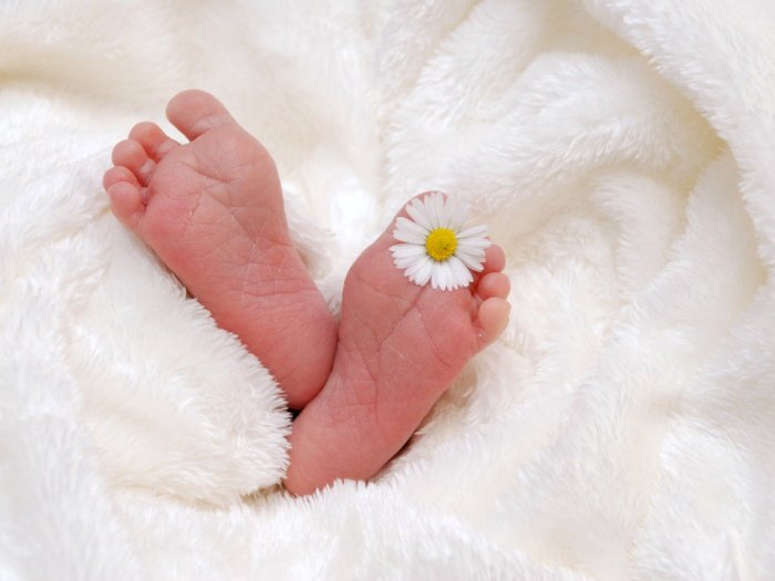 Kasus Penjualan Bayi di Medan Terus Berlanjut,  Kini Tersangka Bertambah Jadi 4 Orang