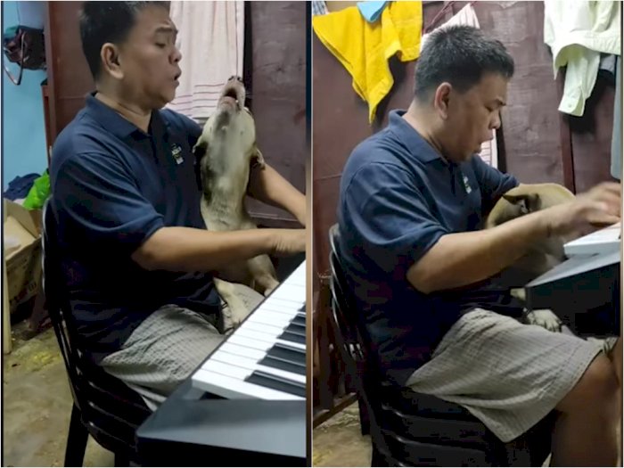 Menggemaskan! Anjing ini Temani Majikannya Main Piano dan Bernyanyi Bersama