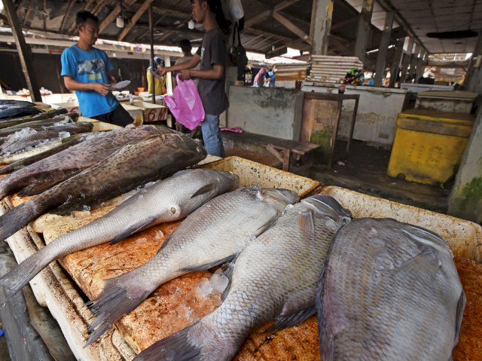 FOTO: Peningkatan Konsumsi Ikan Nasional