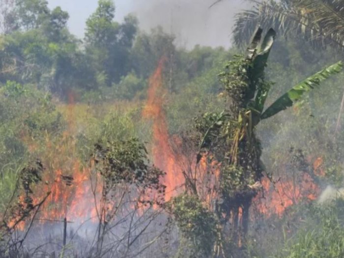 Hati-hati! Ada 91 Titik Api Terpantau di Riau, Petugas Gerak Cepat