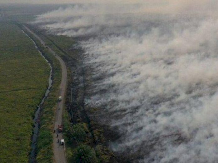 Pemprov Riau Beri Solusi Buka Lahan Pertanian tanpa Membakar, Silakan Hubungi Dinas PUPR 