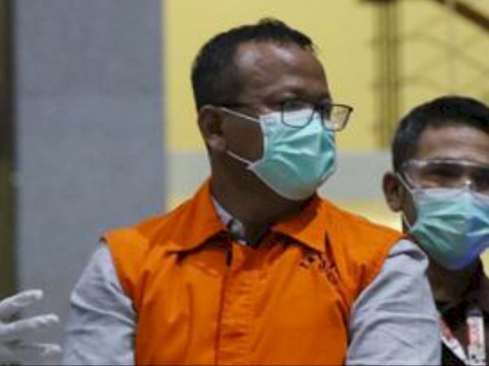 Pengakuan Saksi, Mantan Menteri Edhy Prabowo Ingin Ekspor Lobster sejak Awal Menjabat