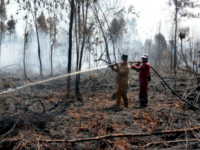 Kebakaran Cagar Biosfer Giam Siak Kecil, BBKSDA Riau Butuh Bantuan Helikopter Padamkan Api