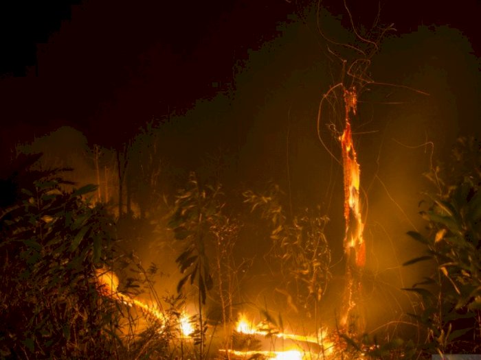 Jangan Dibakar, Pemprov Riau Sediakan Alat Berat Gratis untuk Masyarakat Buka Lahan
