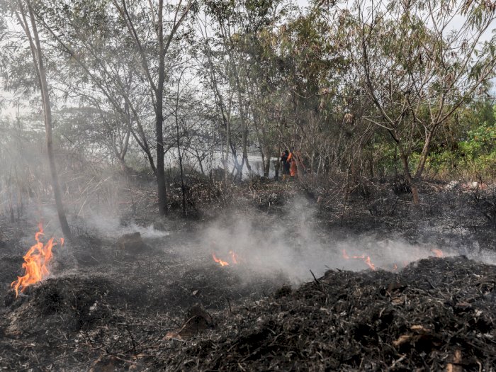 FOTO: Pemadaman Kebakaran Lahan di Batam