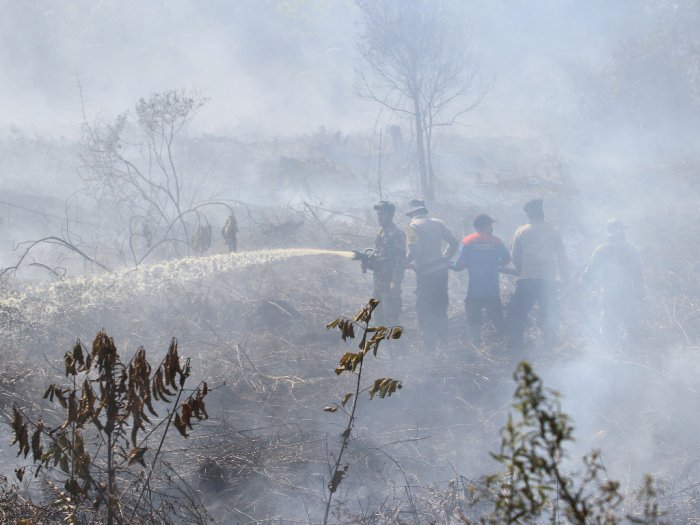 Kabar Baik, Kebakaran Lahan Gambut 5,5 Hektare di Aceh Barat Sudah Mulai Padam