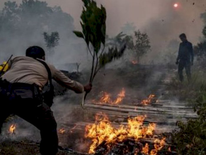 Kebakaran Hutan di Riau, BPBD Catat Kabupaten Bengkalis Paling Luas Terdampak