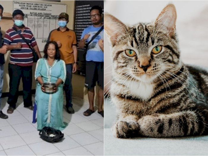 Masukkan Racun Biawak ke Masakan Mertua, Dewi Asmara Juga Tewaskan 3 Kucing 