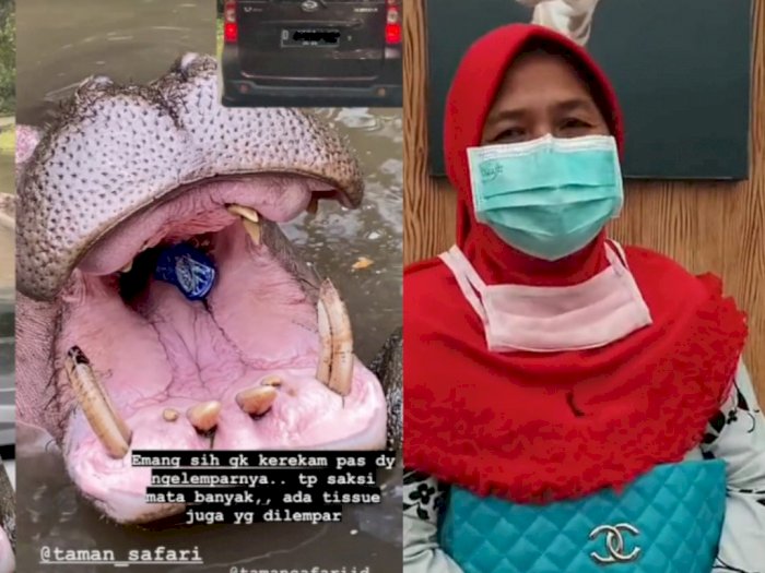 Wanita Viral yang Lempar Botol Plastik ke Kuda Nil Dilaporkan Polisi