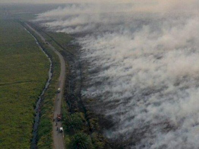 BPBD Sebut Oknum Tertentu Sengaja Membakar Belasan Hektare Lahan Kosong di Pekanbaru