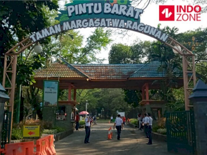 Taman Margasatwa Ragunan Mulai Dibuka Besok, Warga Non DKI Boleh Berkunjung
