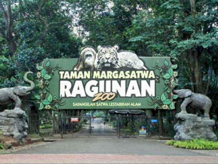 Taman Margasatwa Ragunan Bisa Dikunjungi Besok, Lansia Dilarang Masuk