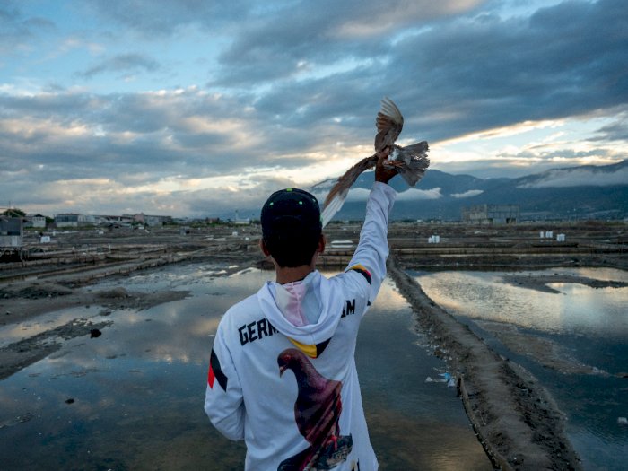FOTO: Lomba Merpati balap di Palu