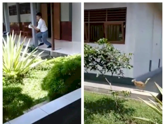 Pelajar SMA Ini Lari saat Lihat Kucing Oren, Kenapa Ya?