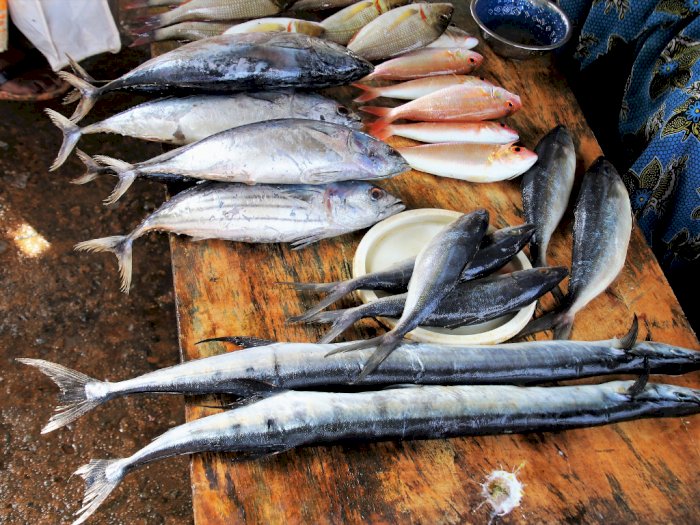 Pemerintah Pastikan Pasokan Ikan Cukup Untuk Kebutuhan Ramadan-Lebaran 2021