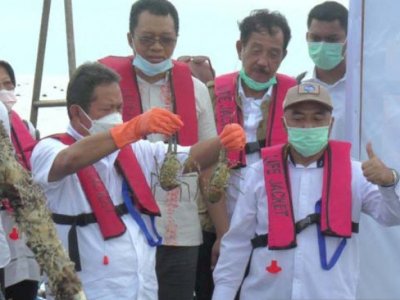 Tinjau Proses Budidaya Lobster di Lombok, KKP Ingin Indonesia Kuasai Pasar Komoditasnya