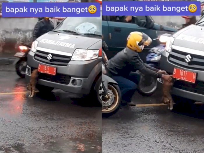 Pengendara Motor Nekat Hadang Ambulans karena Lihat Kucing Terjepit di Bemper Mobil