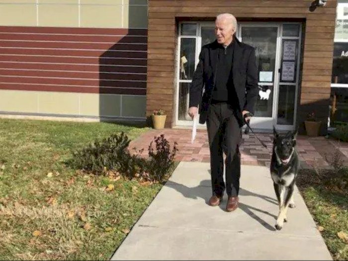 Anjing Joe Biden Kembali Gigit Seseorang yang Sedang Berjalan di Gedung Putih
