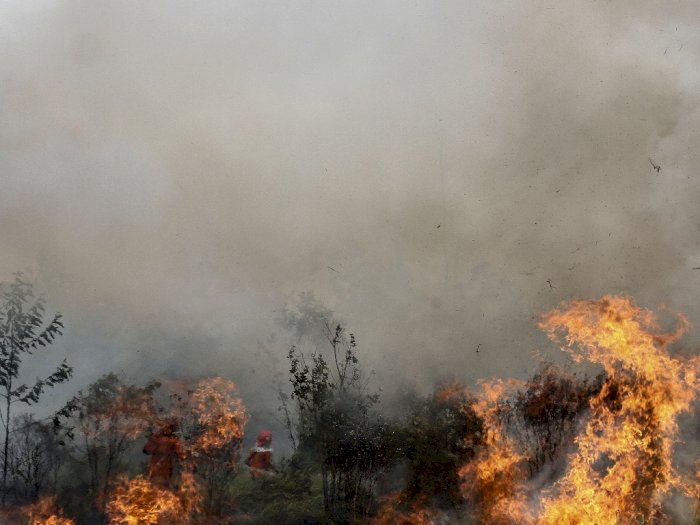 FOTO: Kebakaran Lahan di Pekanbaru
