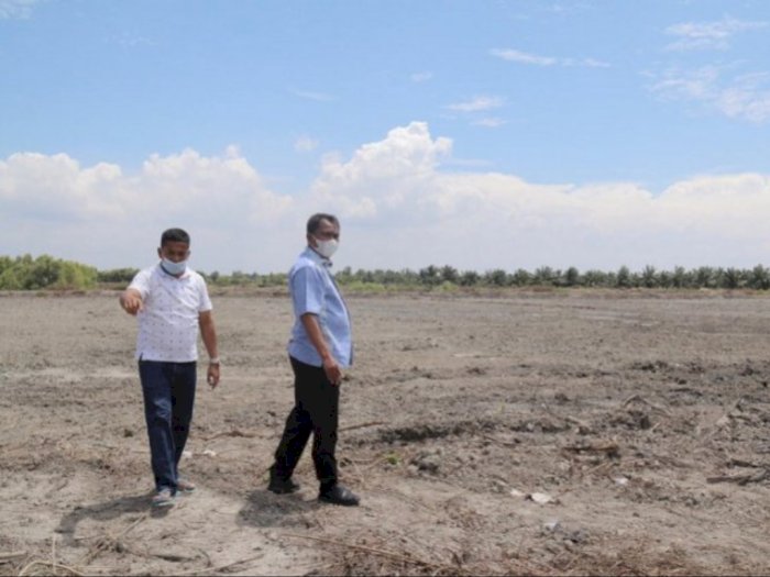 Wujudkan Swasembada Beras, 1.000 Hektare Lahan Persawahan Baru Siap Dicetak di Sergai